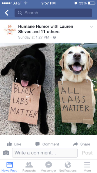 Illustration for article titled Don't bring dogs into your racism